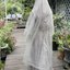 Silvera Dress